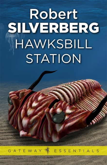 Hawksbill Station