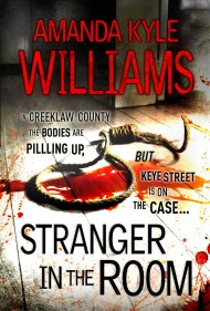 Stranger In The Room (Keye Street 2)