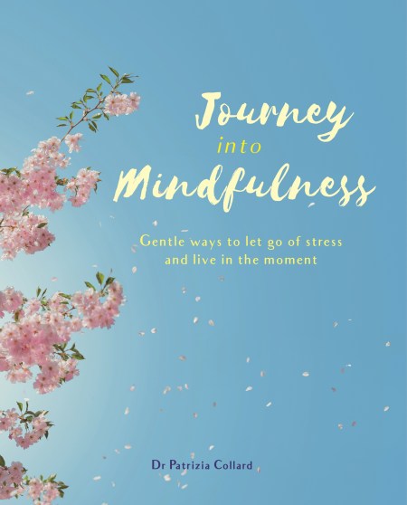 Journey into Mindfulness