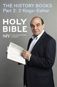 NIV Bible: the History Books - Part 2