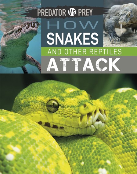 Predator vs Prey: How Snakes and other Reptiles Attack