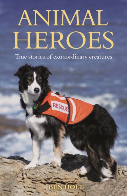 Animal Heroes