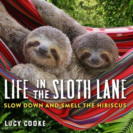 Life in the Sloth Lane