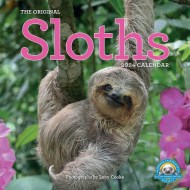 Original Sloths Wall Calendar 2024