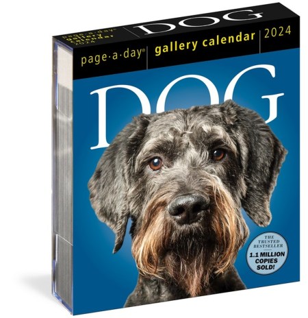 Dog Page-A-Day Gallery Calendar 2024