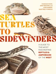 Sea Turtles to Sidewinders