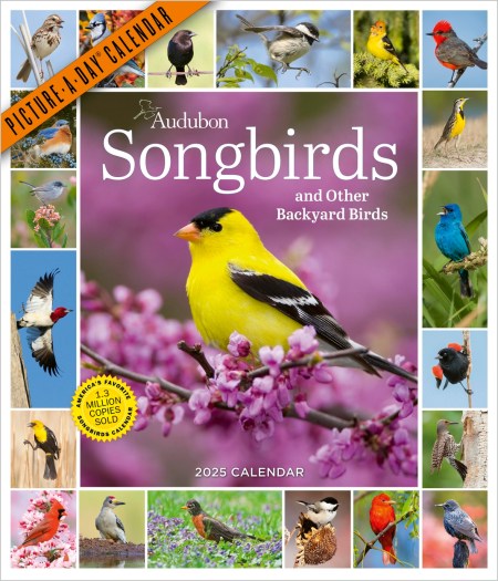 Audubon Songbirds and Other Backyard Birds Picture-A-Day Wall Calendar 2025