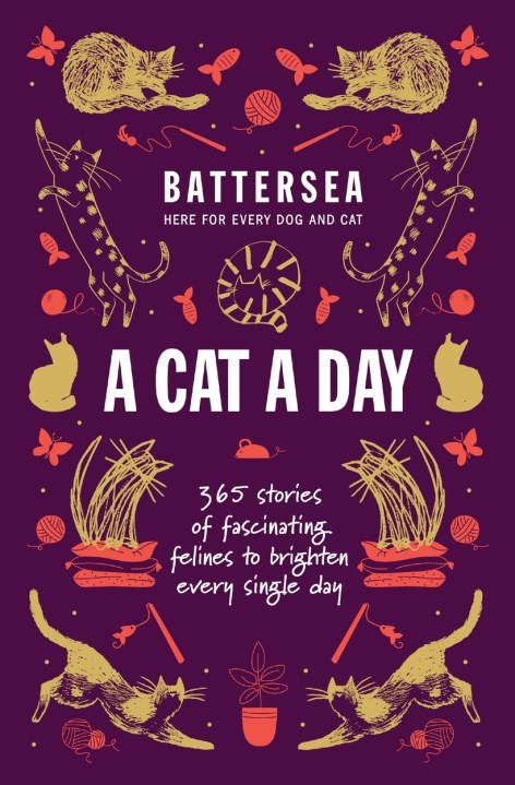 Battersea Dogs and Cats Home – A Cat a Day