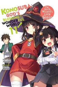 Konosuba: God’s Blessing on This Wonderful World!, Vol. 11 (light novel)